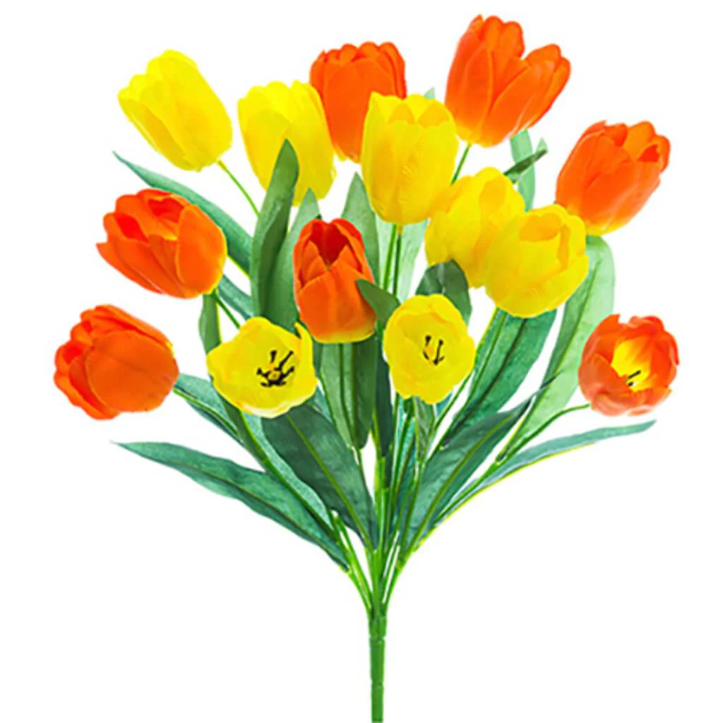 Tulip Bush X14 19" Ye/Or