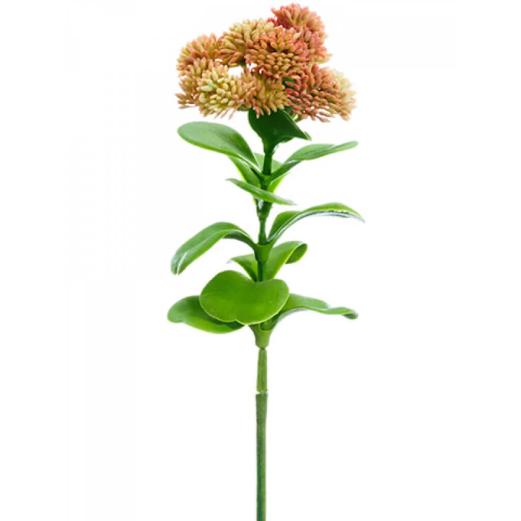 Sedum Pick 11" Pk/Cr