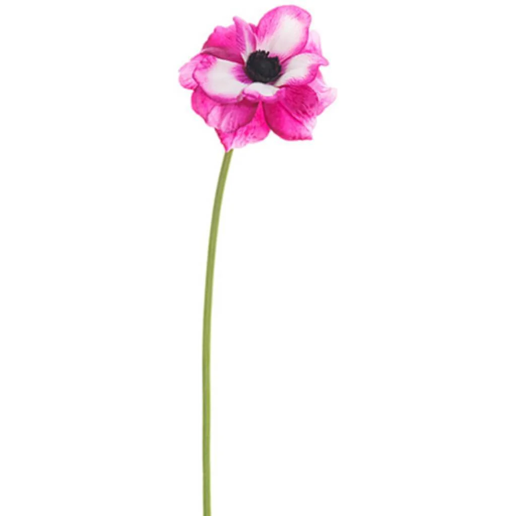 ANEMONE SPRAY 18" RUBY