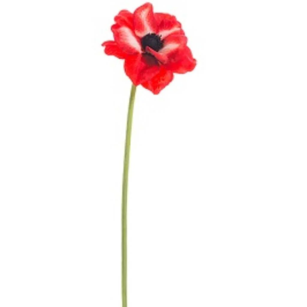 Anemone Spray 18" Red