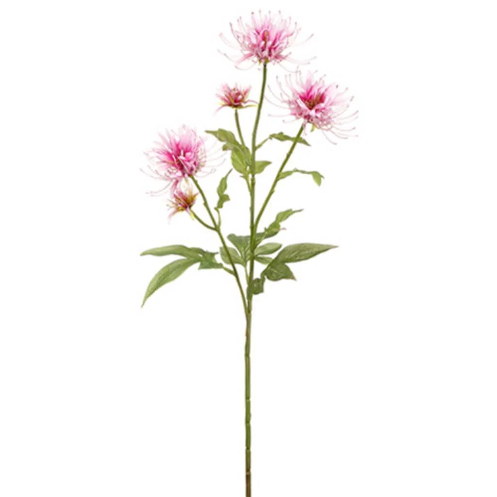 Bee Balm Spray 27" Lilac