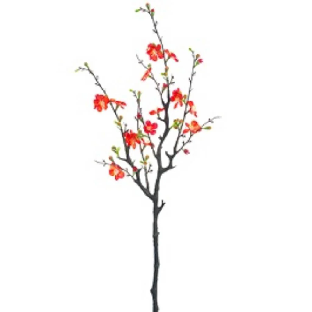 Quince Blosson Branch 29" Co