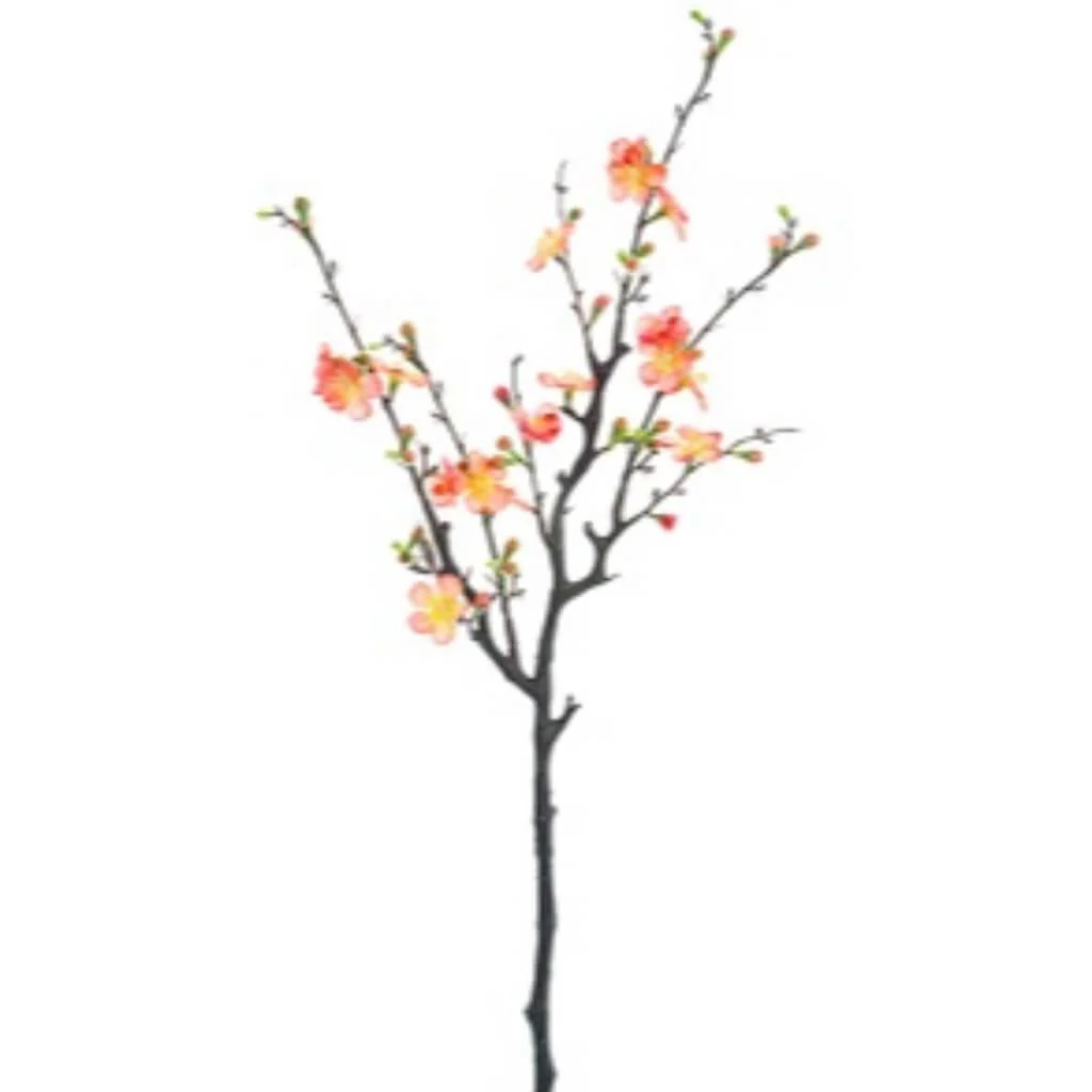 Quince Blosson Branch 29" Pe