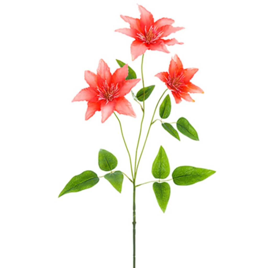 Clematis Spray 32" Coral