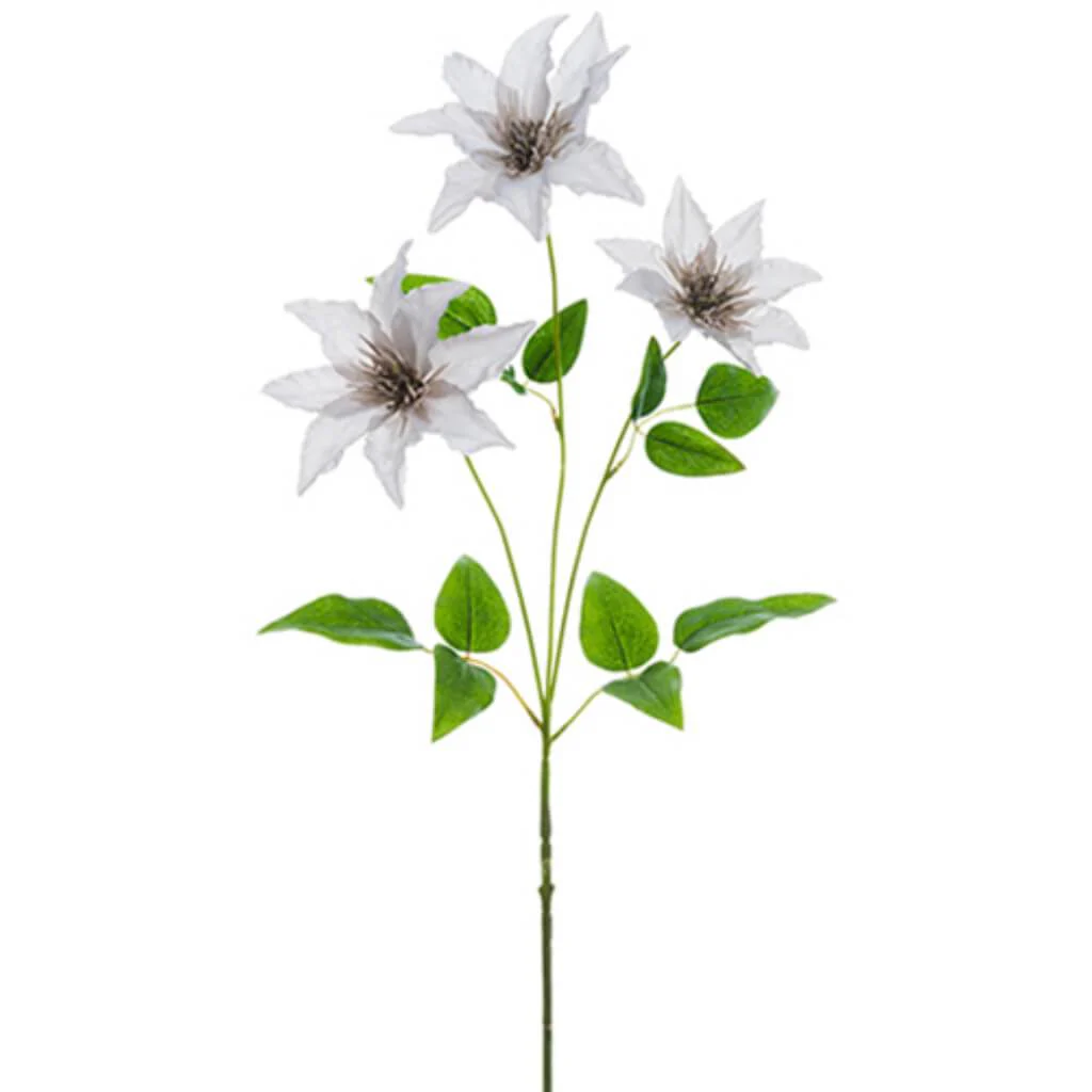 Clematis Spray 32" Gy