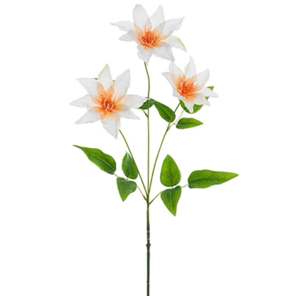 Clematis Spray 32" Peach