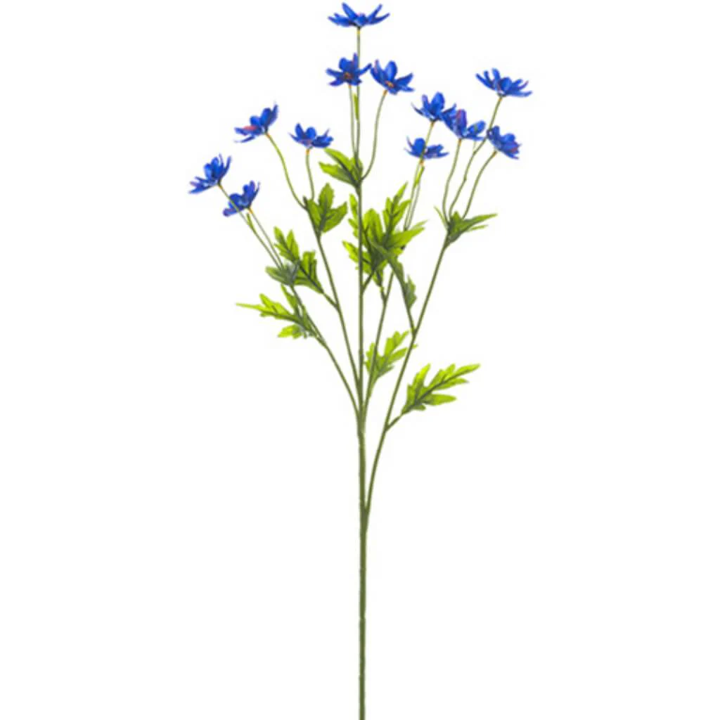 Mini Cosmos Spray X5 27" Blue
