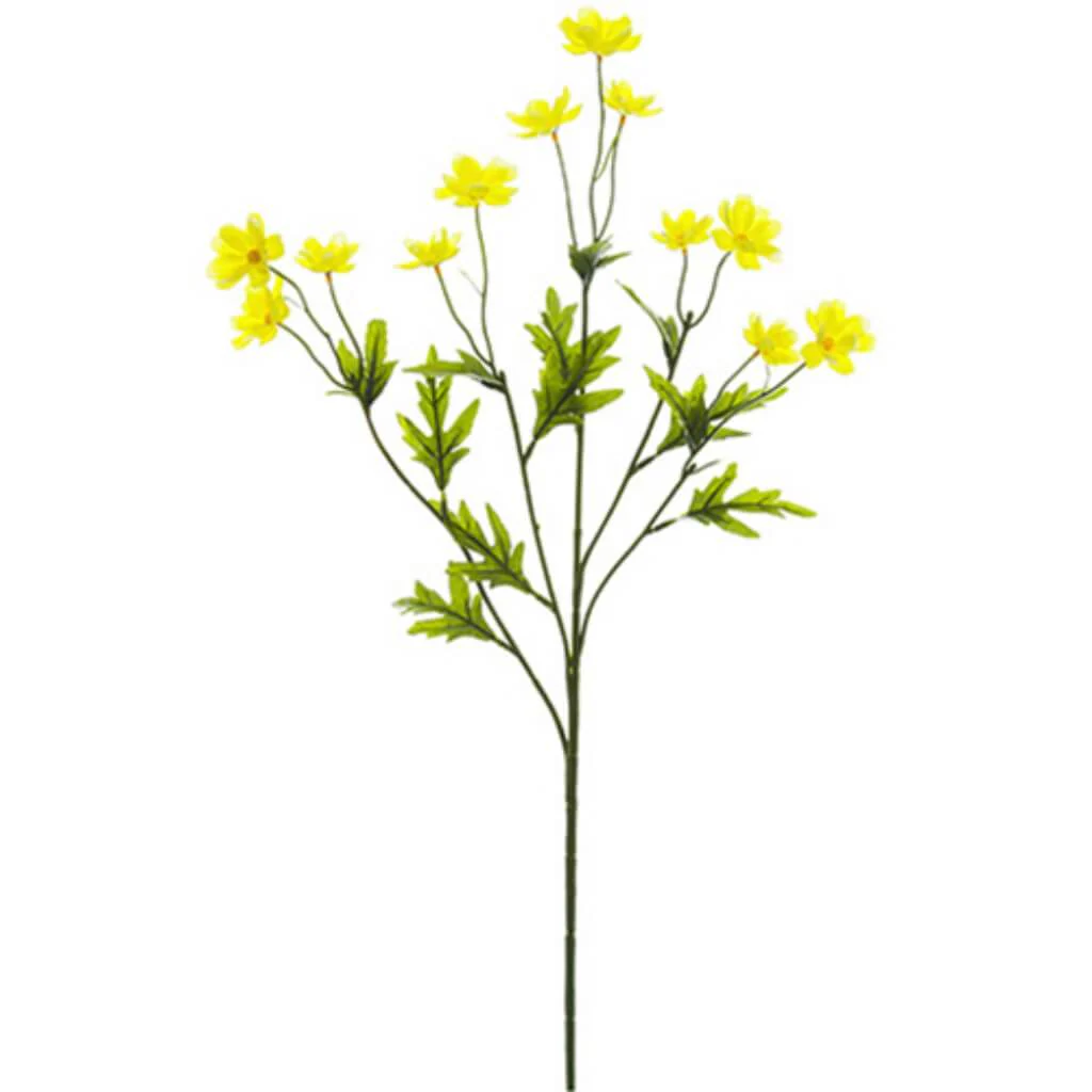 Mini Cosmos Spray X5 27" Yellow