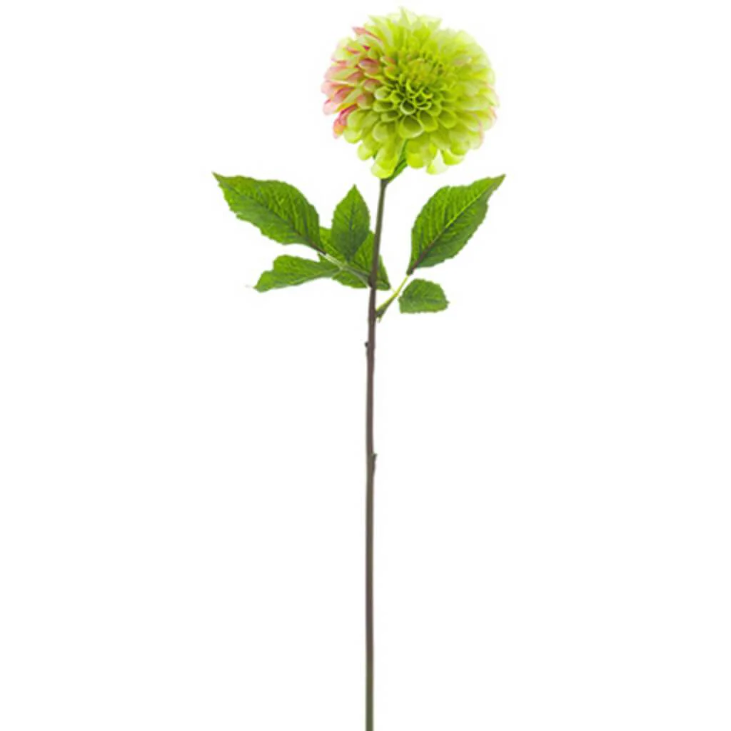 Dahlia Spray 24" Green