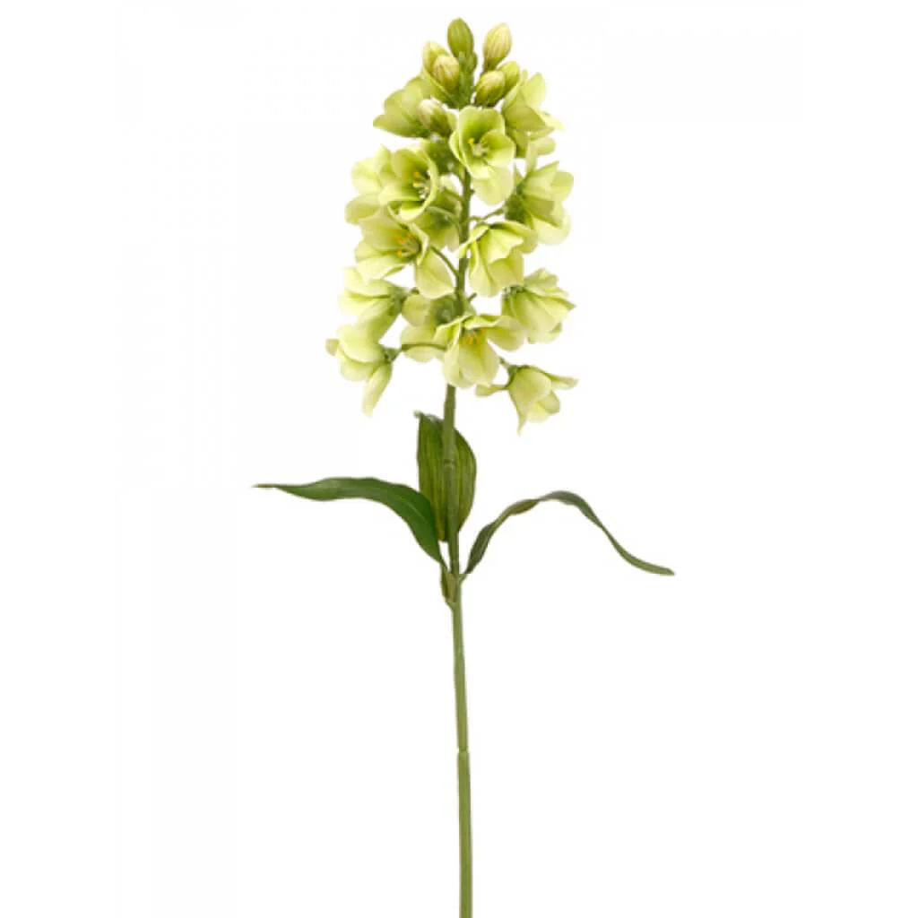 Fritillaria Spray 27" Green