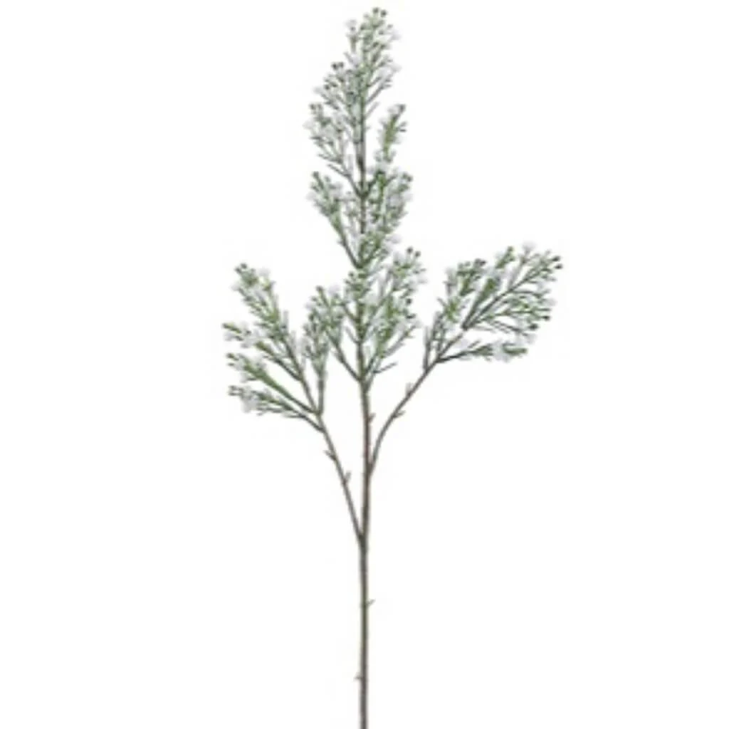 Gypsophila Spray X4 W/Buds 32" White