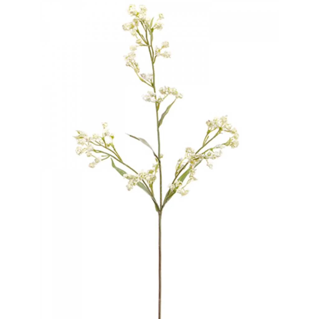 Gypsophila Spray 29" White
