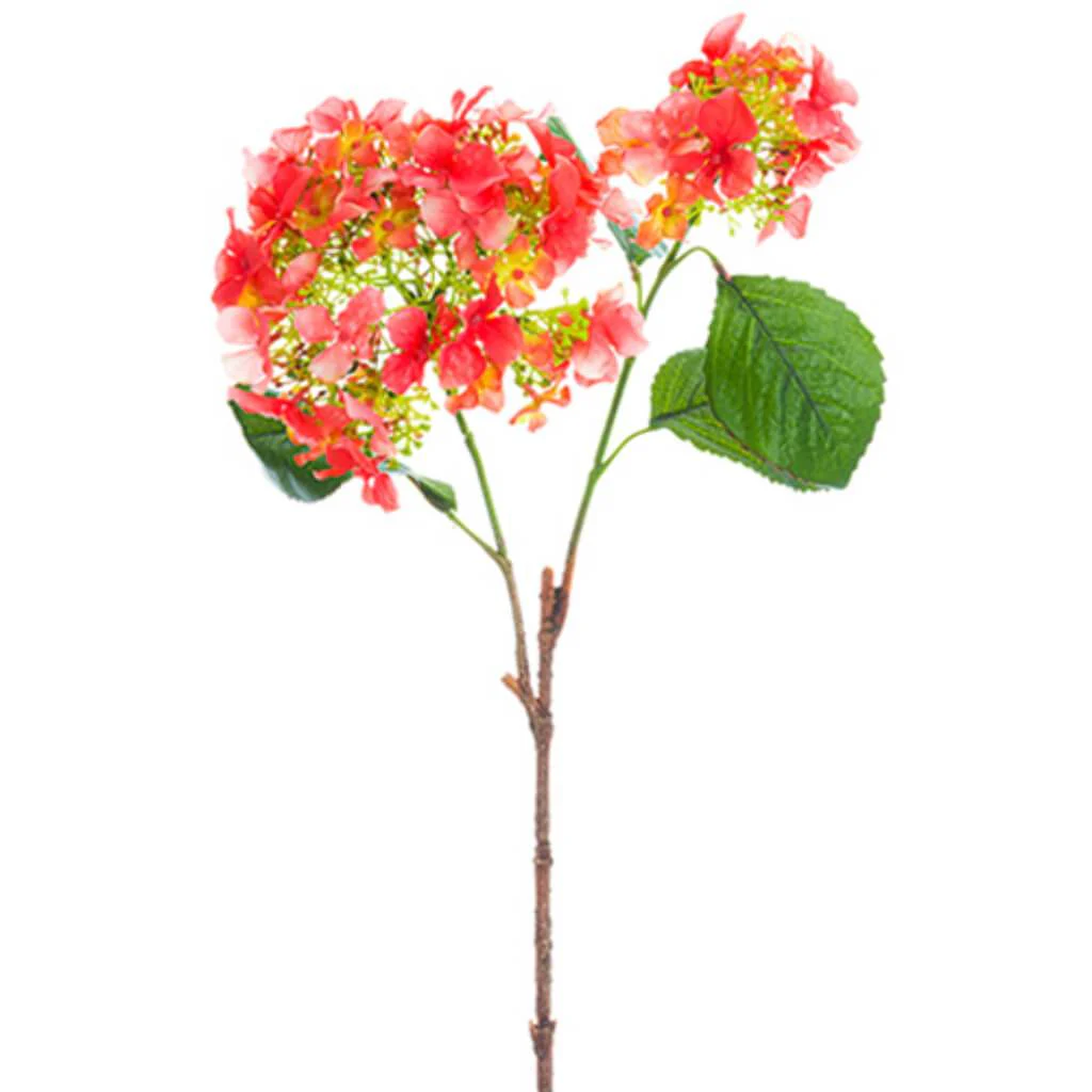 Hydrangea Spray 25" Coral
