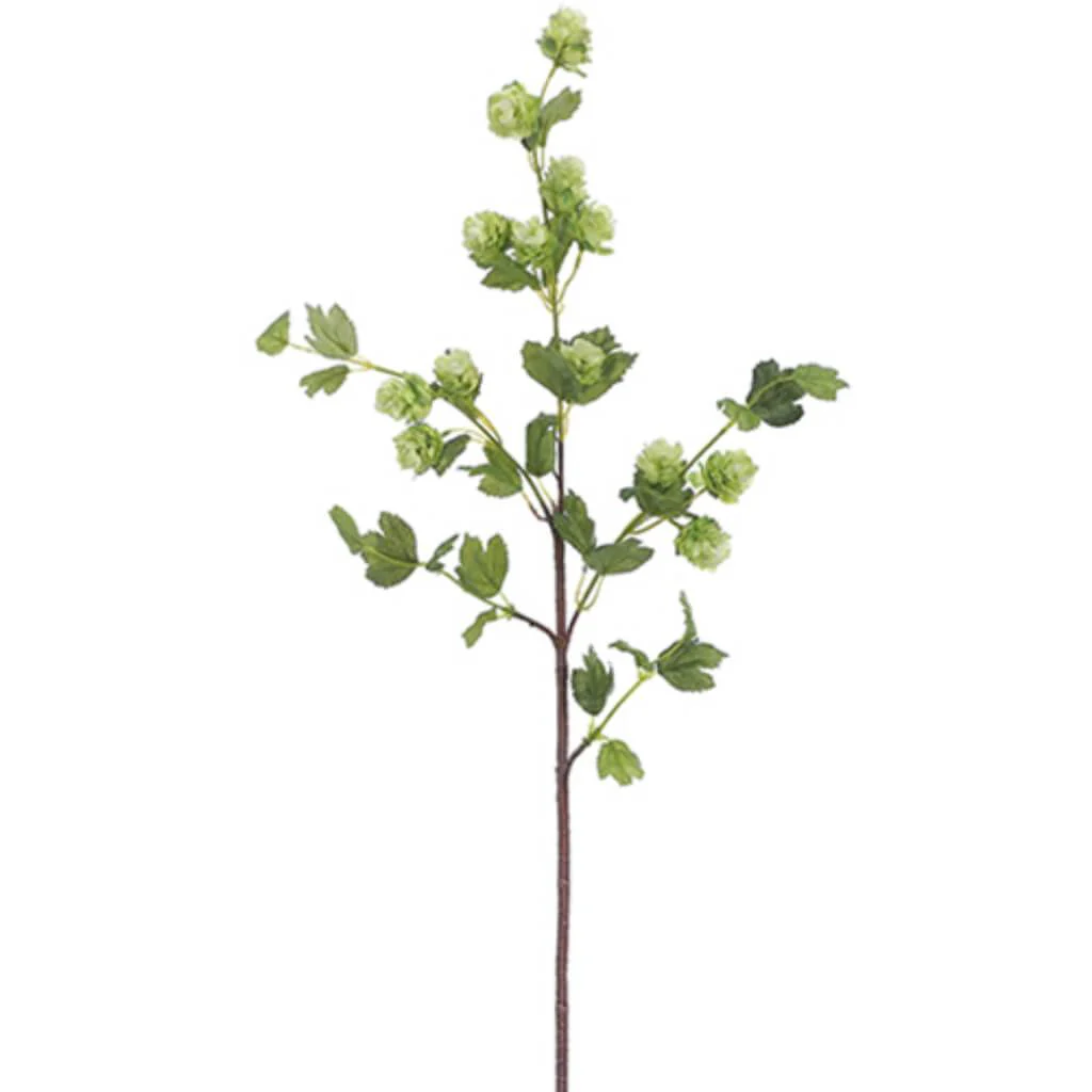 Hop Spray 36" Green