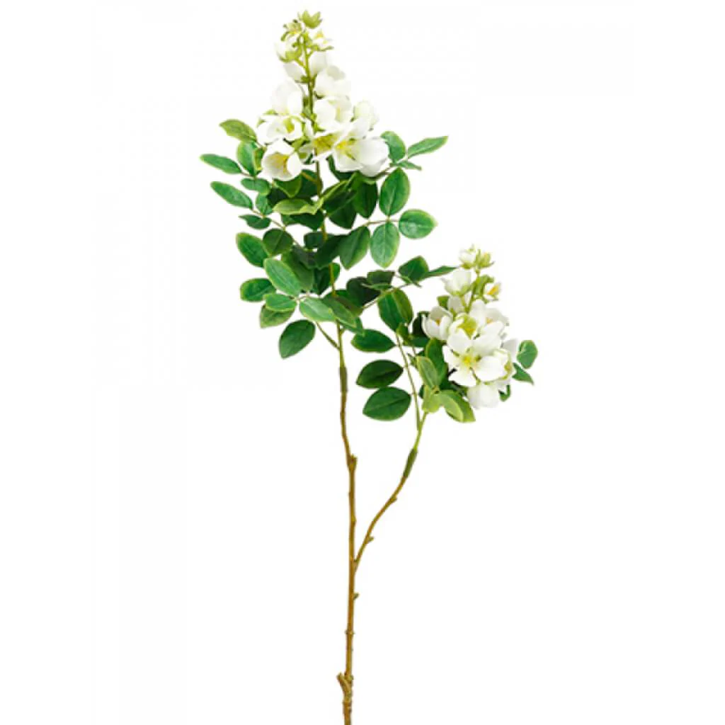 Locust Tree Blossom Branch, 31in
