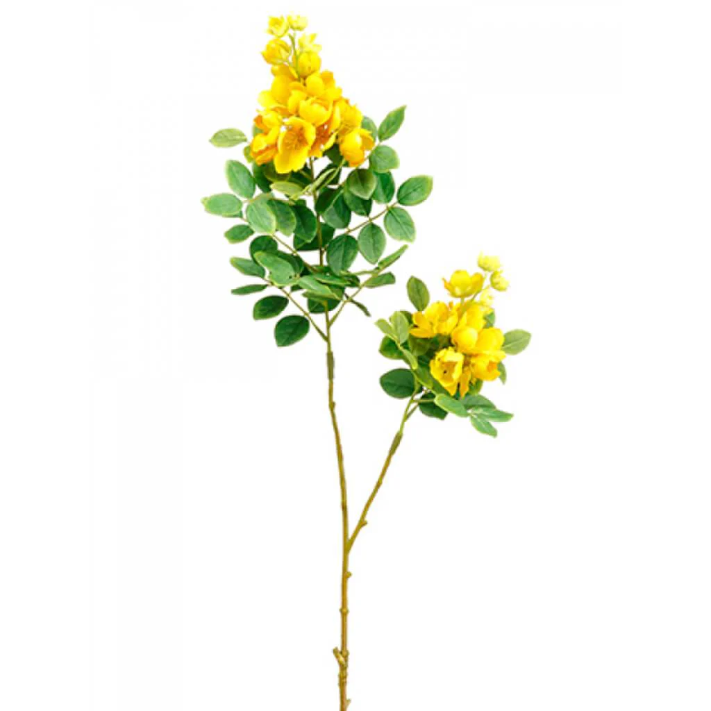 Locust Tree Blossom Branch, 31in