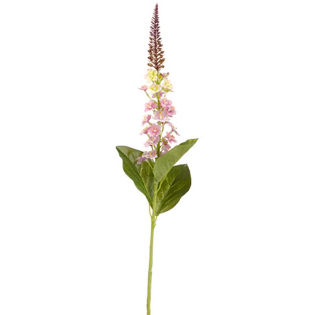 Lysimachia Spray 26" Lavender
