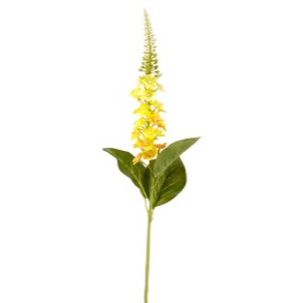Lysimachia Spray 26" Yellow