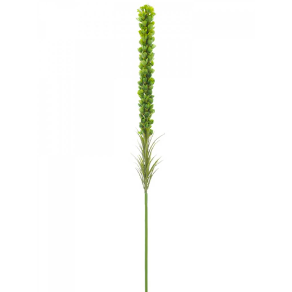 Liatris Spray 35" Green