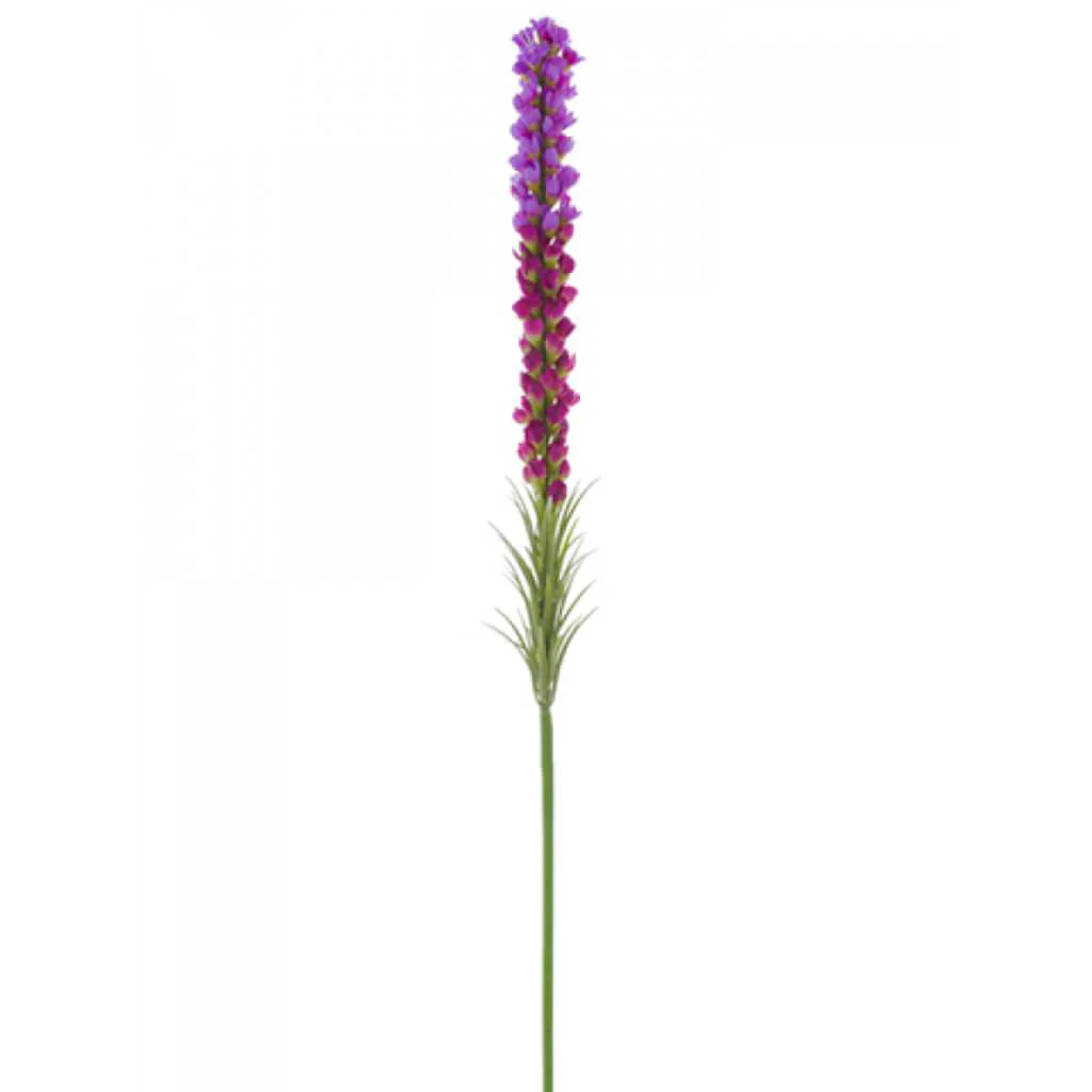 Liatris Spray 35" Lavender Orchid