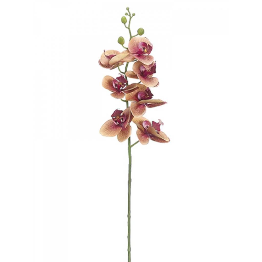 Phalaenopsis Orchid Spray 34"