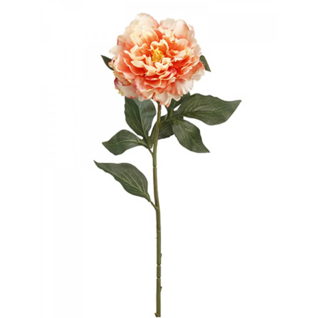 Peony Spray 26" Coral