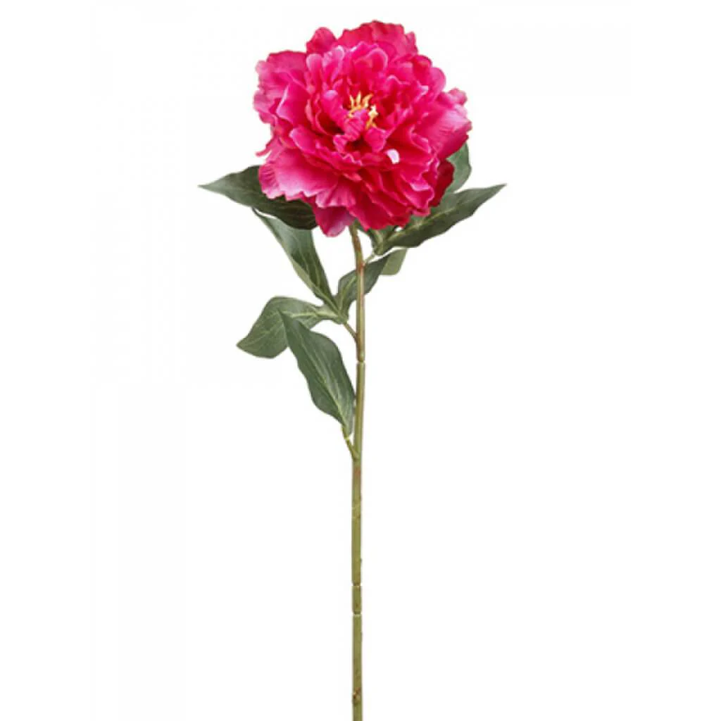 Peony Spray 26in Rubrum