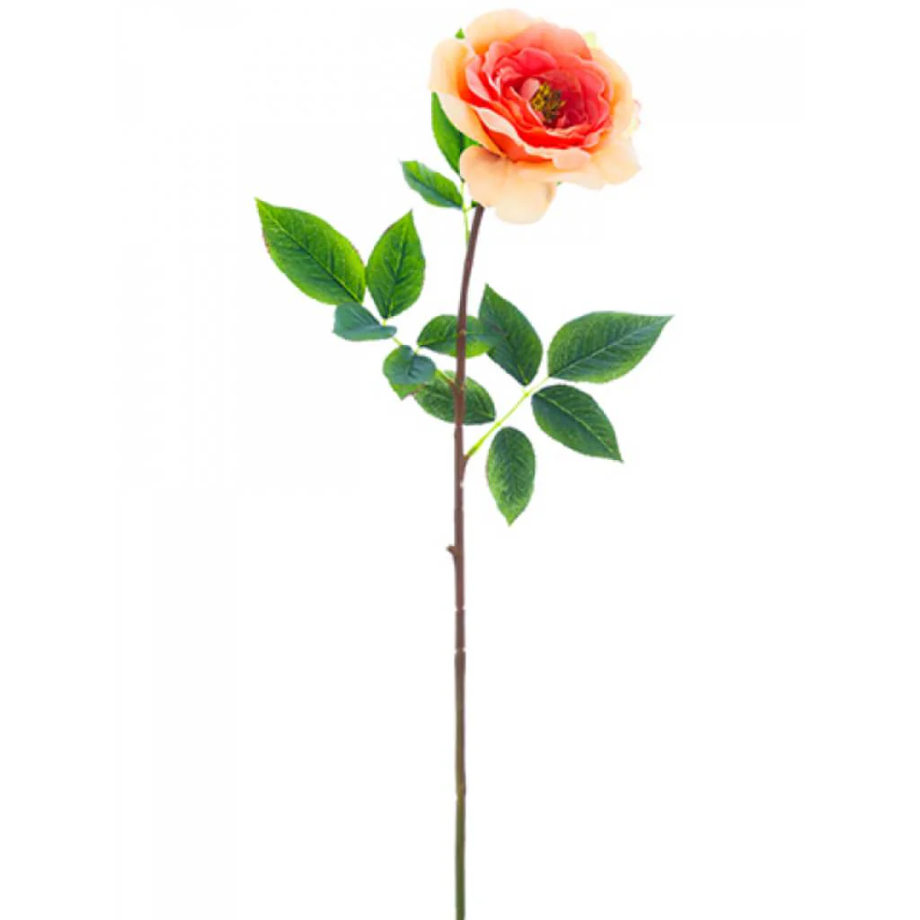 Rose Spray 27" Coral