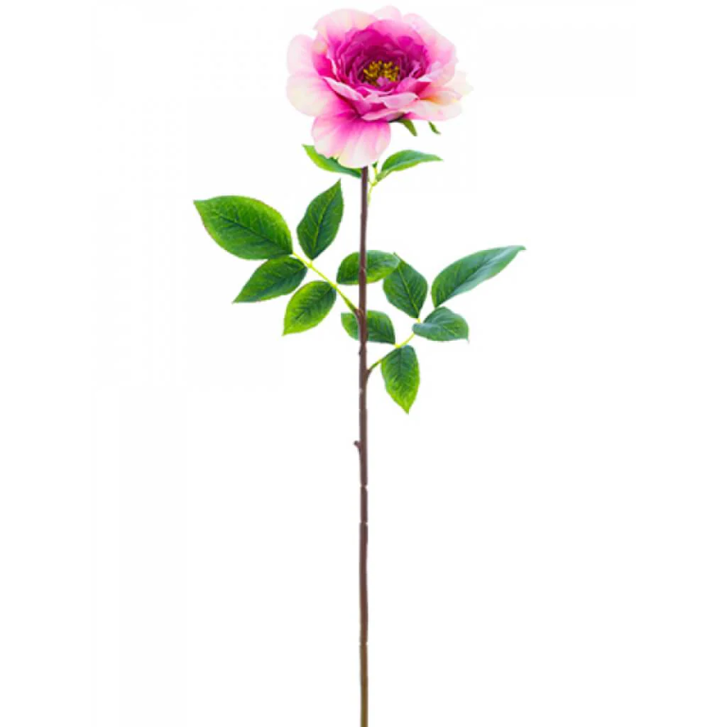 Rose Spray 27" Fuschia Pink