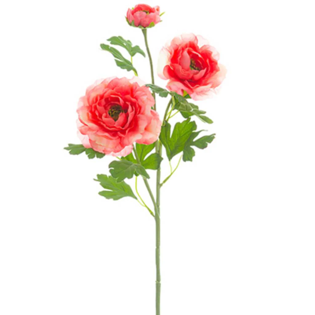 Ranunculus Spray 24" Coral