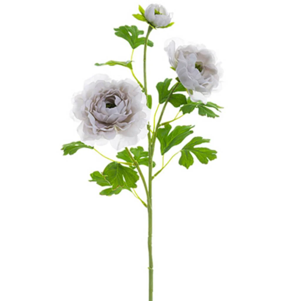 Ranunculus Spray 24" Grey