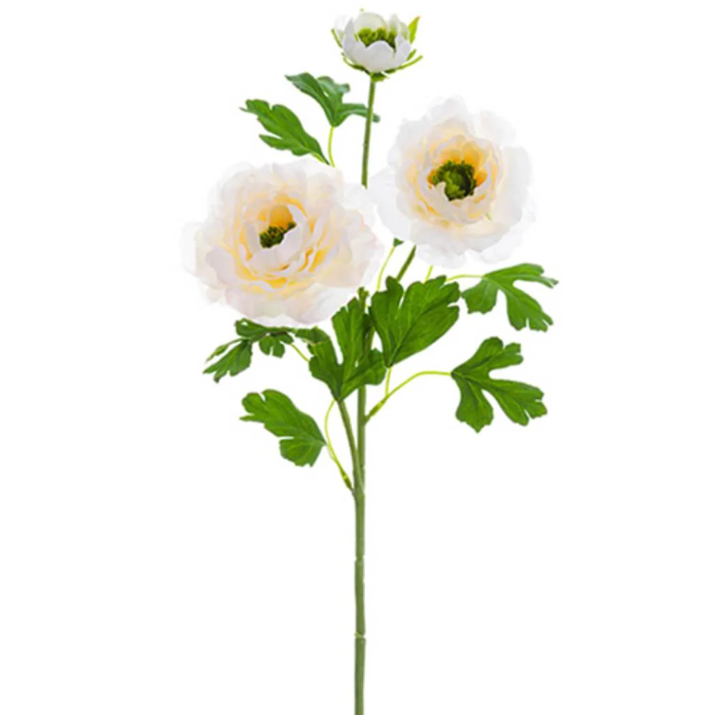 Ranunculus Spray 24" Peach