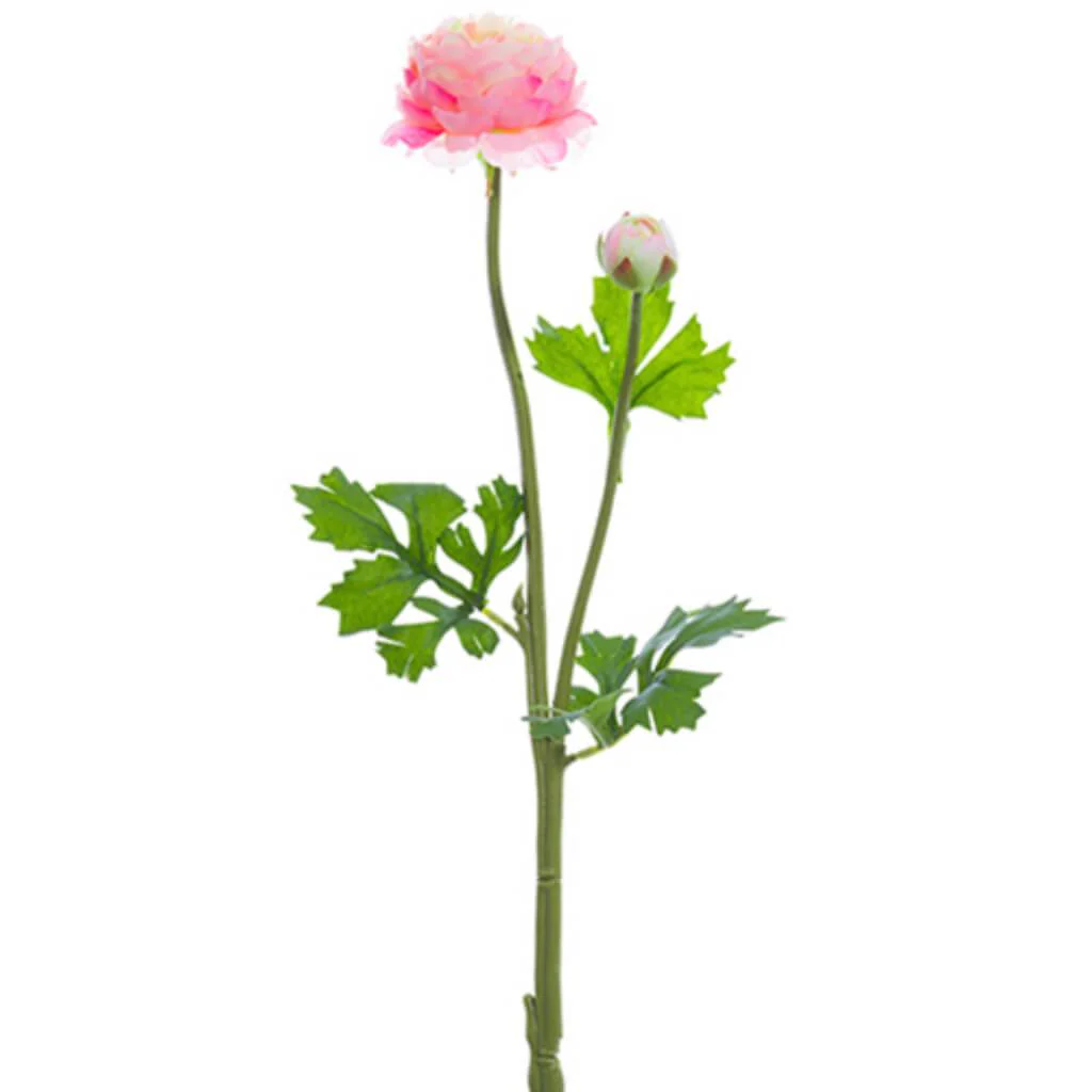 Ranunculus Spray 1.8 18.9" Pink Cream