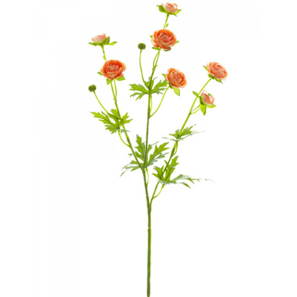 Mini Ranunculus Spray 22" Peach