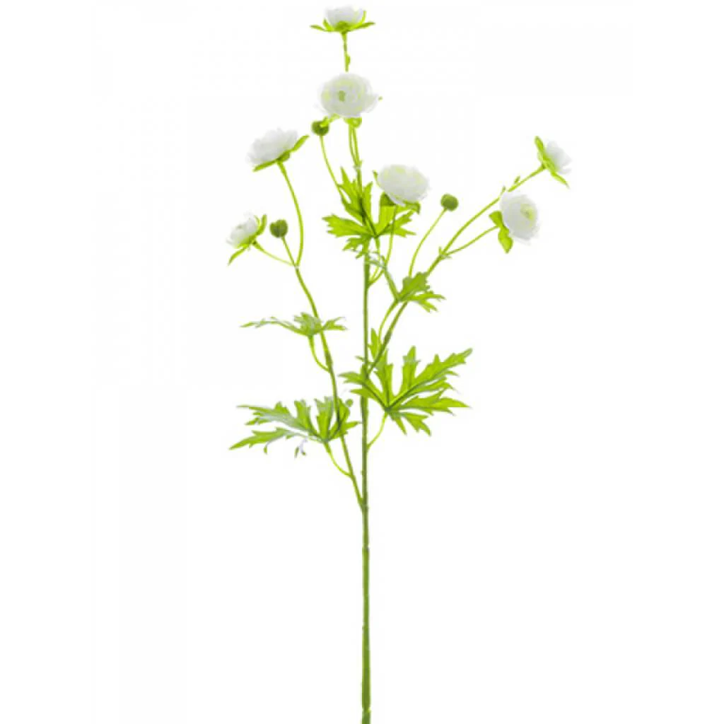 Mini Ranunculus Spray 22" White