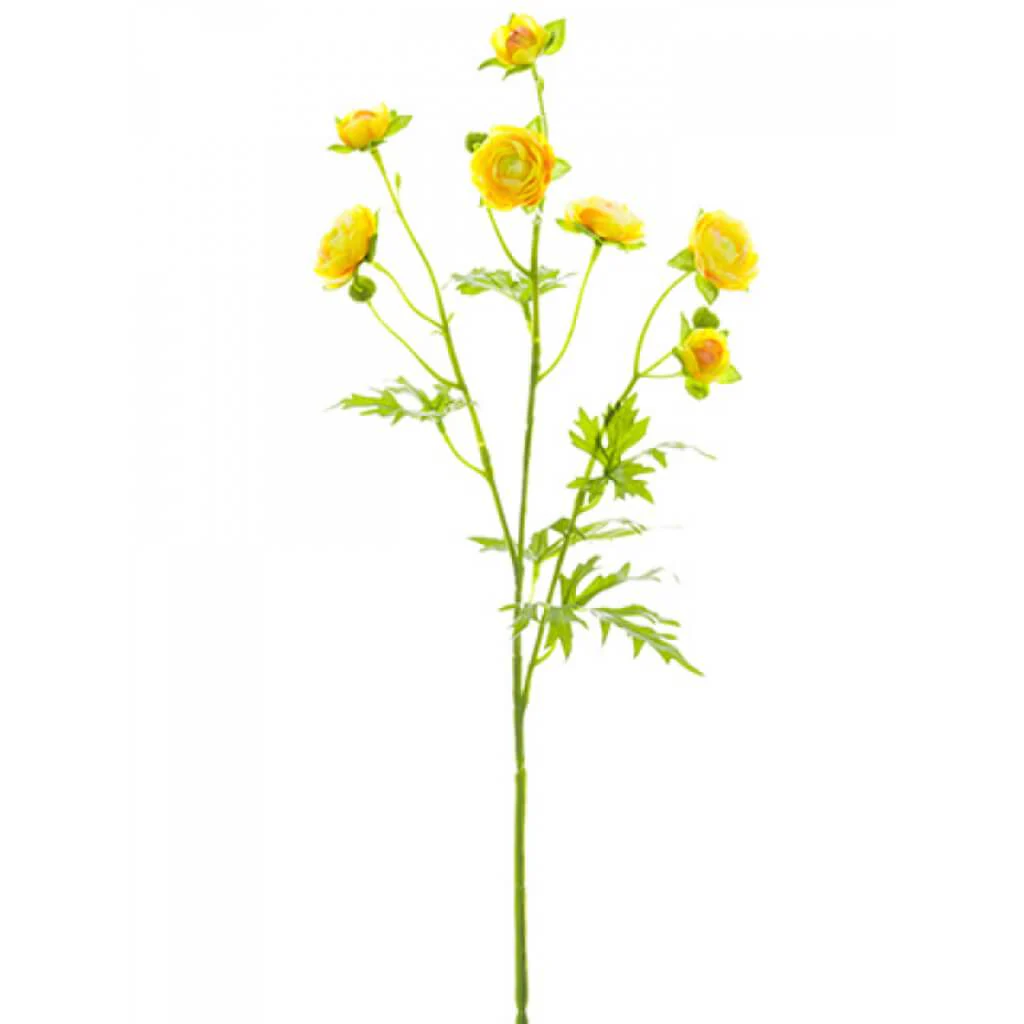 Mini Ranunculus Spray 22" Yellow