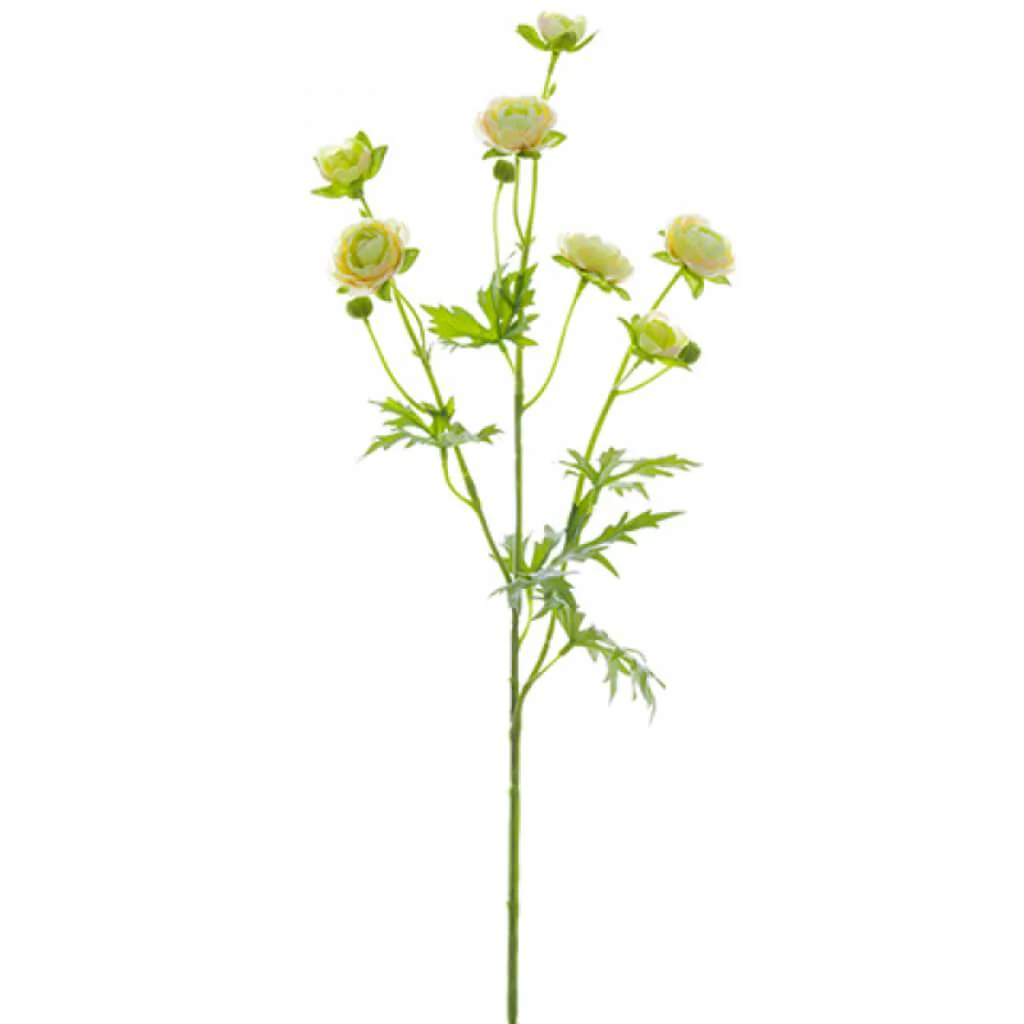 Mini Ranunculus Spray 22" Light Yellow