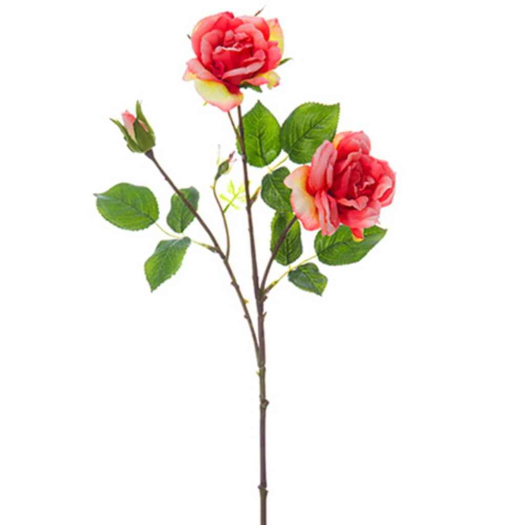 Rose Spray 24" Coral