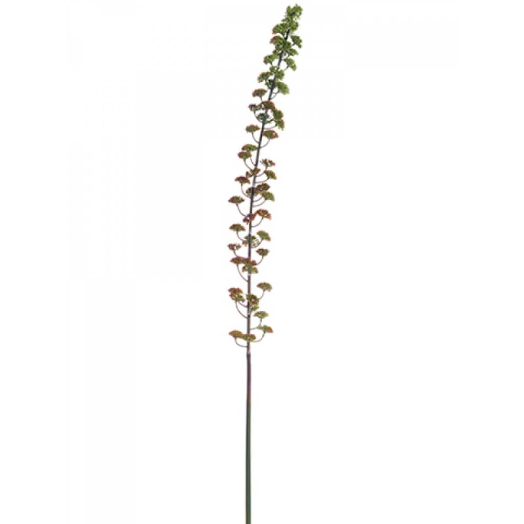 Sedum Spray 37" Blush Green