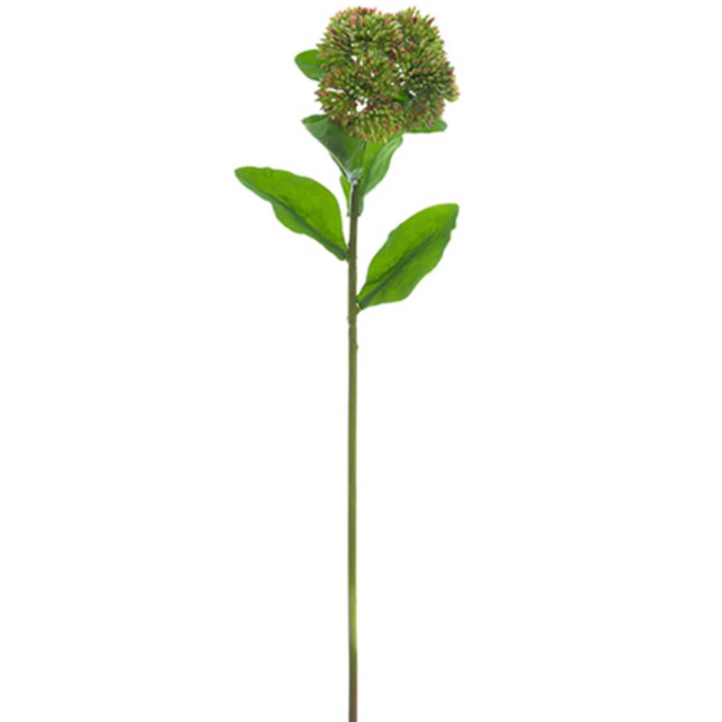 Sedum Spray 20" Green Mauve