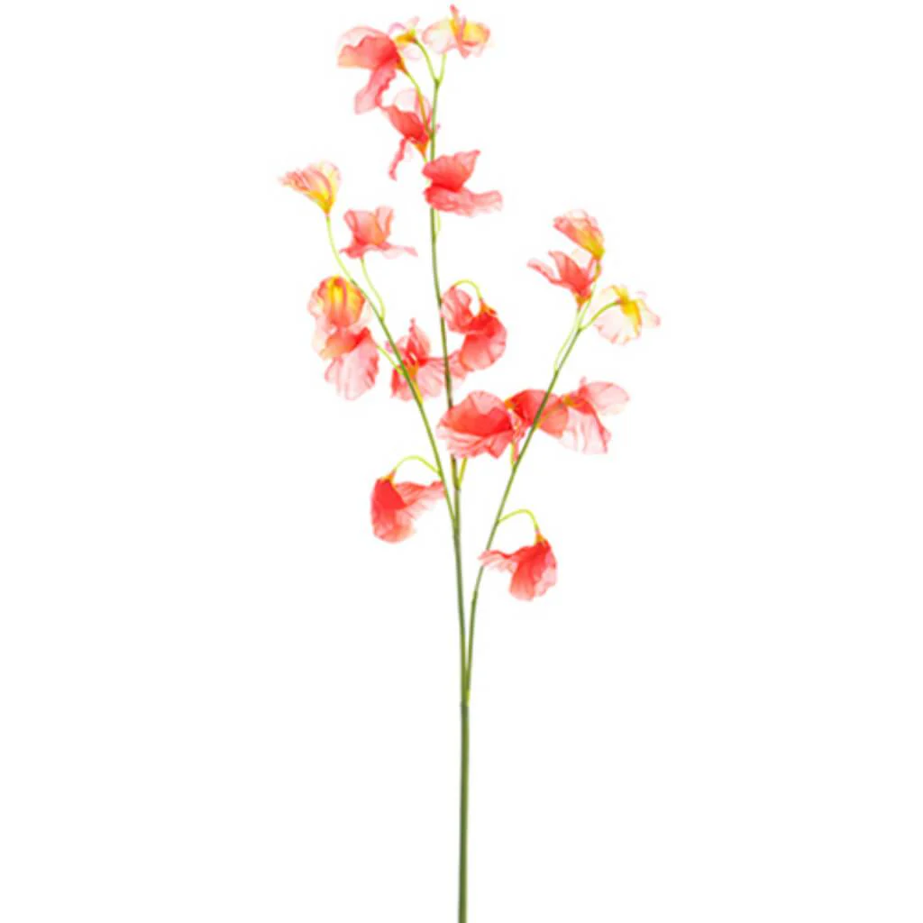 Sweetpea Spray 30" Coral