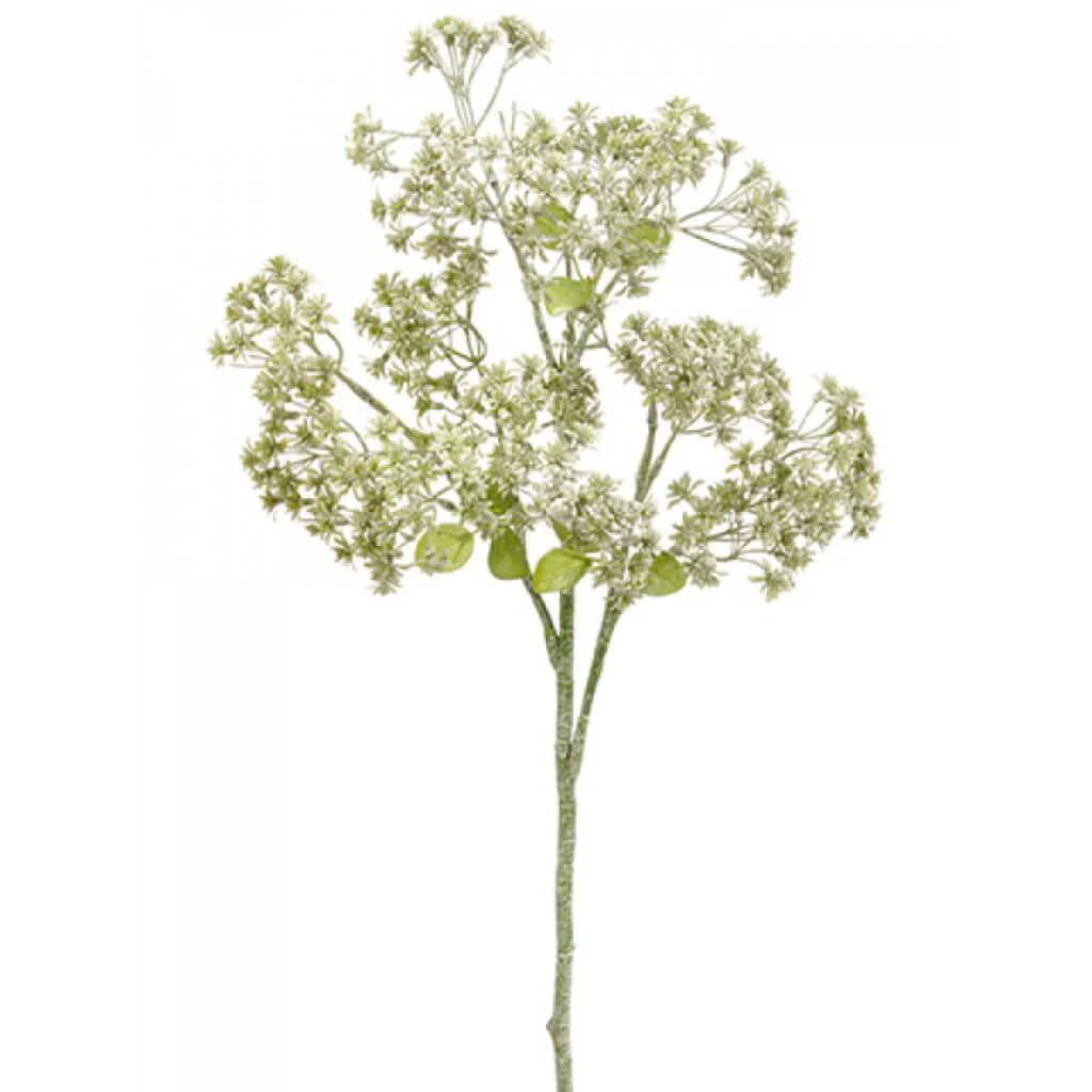 Sedum Spray 20" Gr/Ww