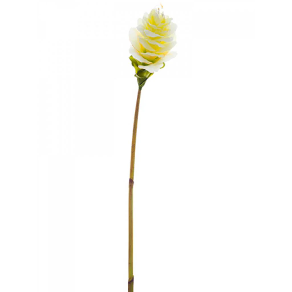 Ginger Flower Spray 41" Cream Yellow