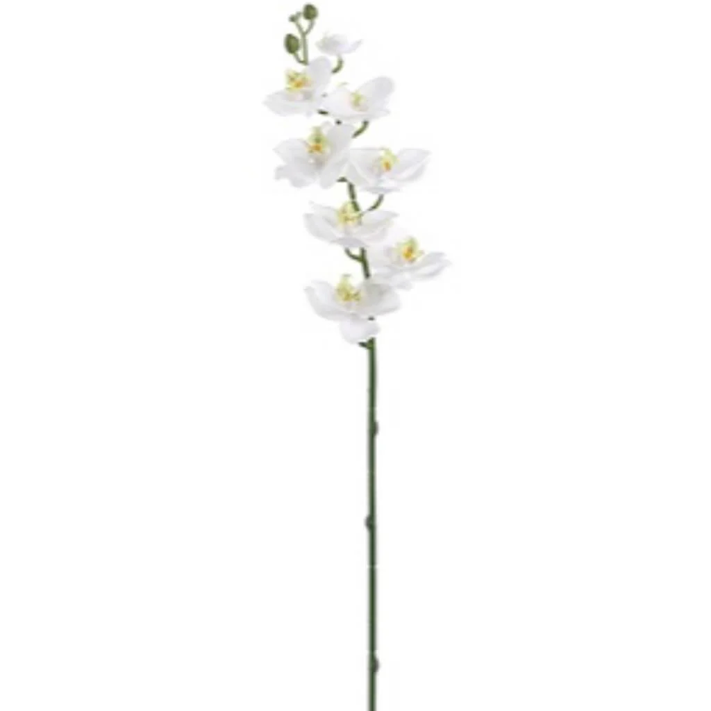 Phalaenopsis Spray 30" White