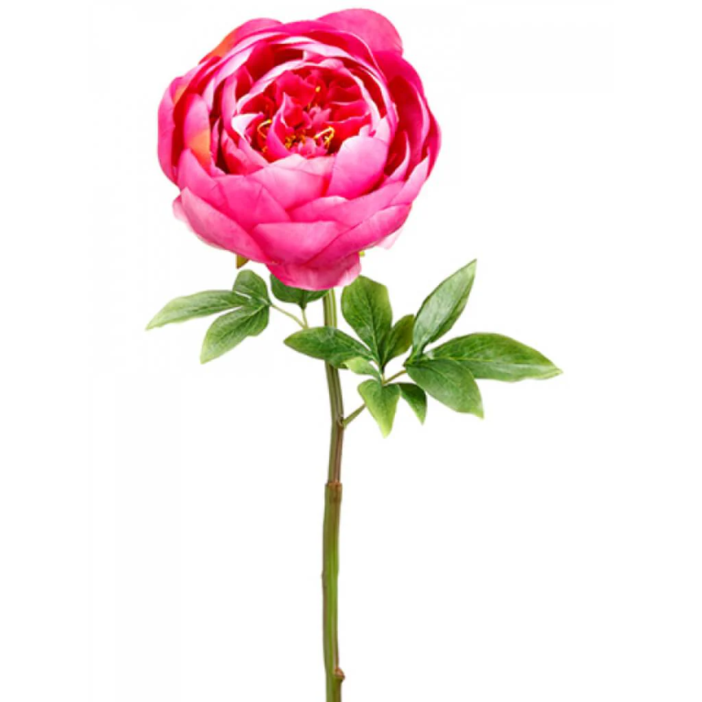 Peony Spray 27" Boysenberry