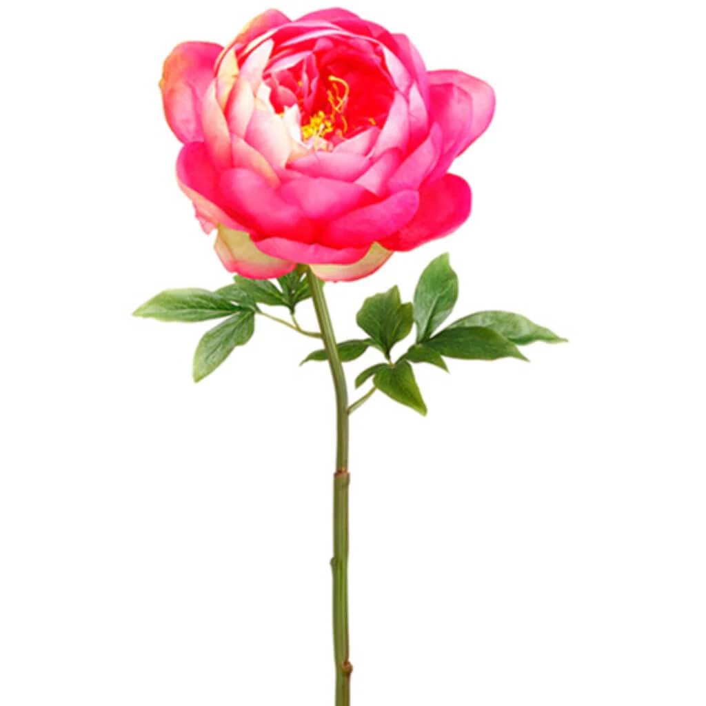 Peony Spray 27" CERISE FUSCHIA