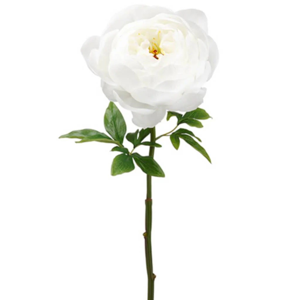 PEONY SPRAY 27" WHITE