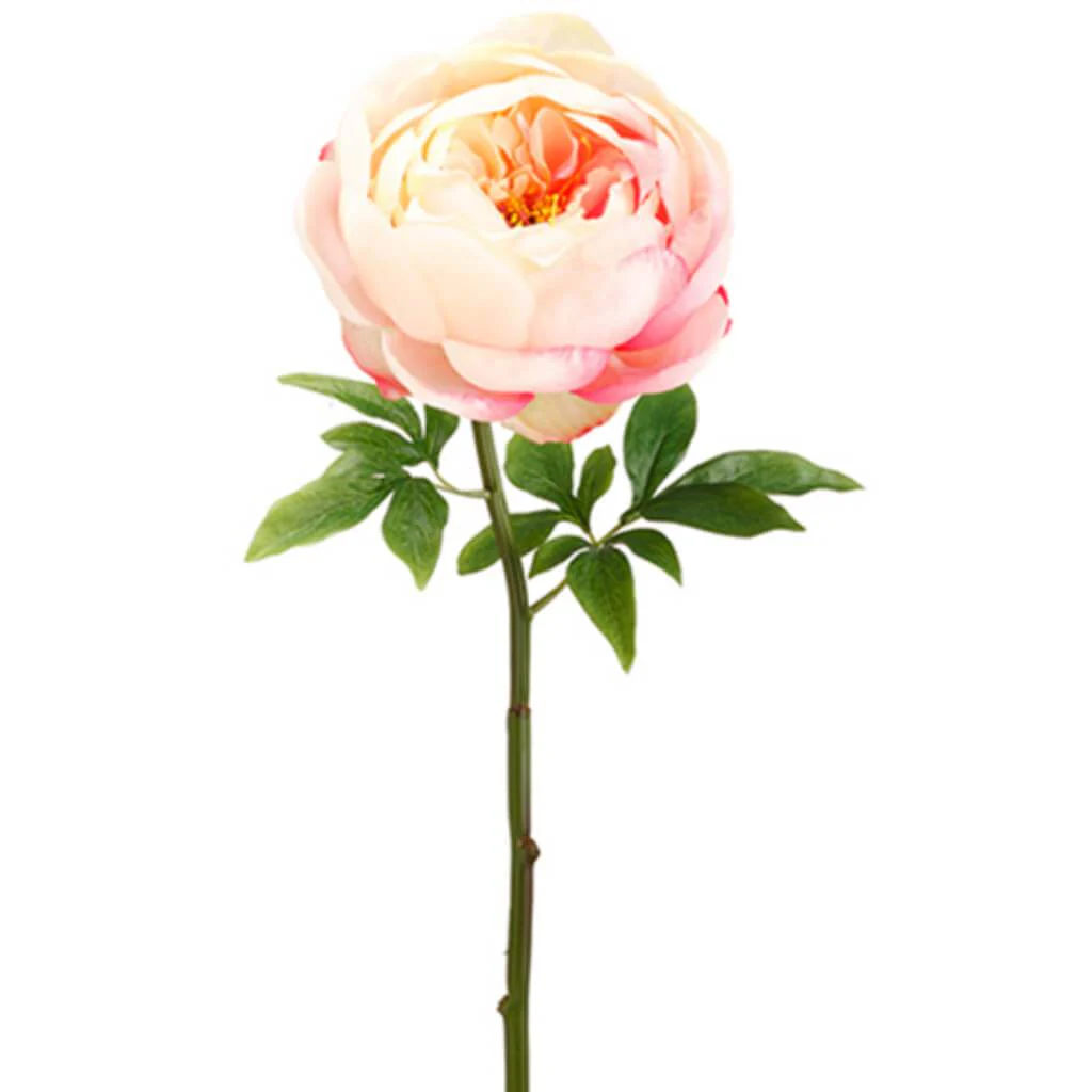 Peony Spray 27" White Pink