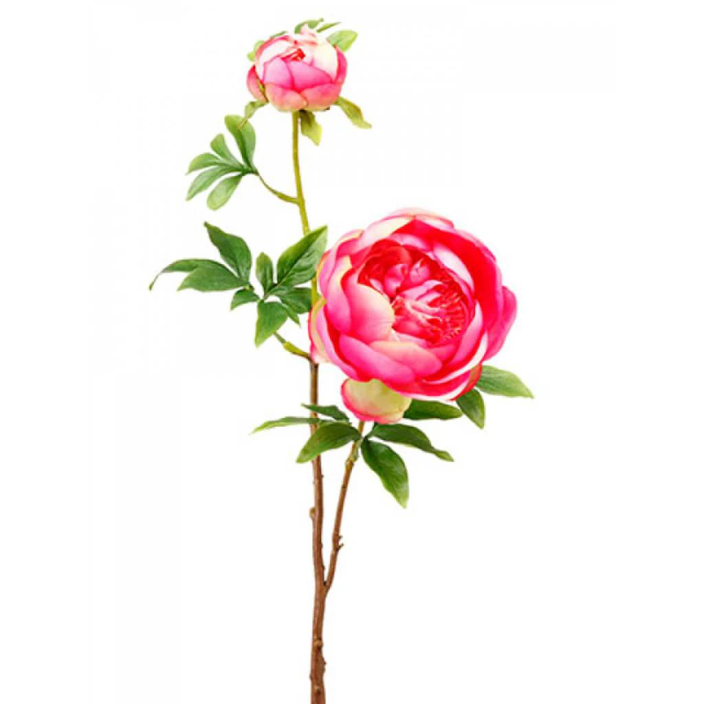 Peony Spray With Bud 27.5" CERISE FUSCHIA