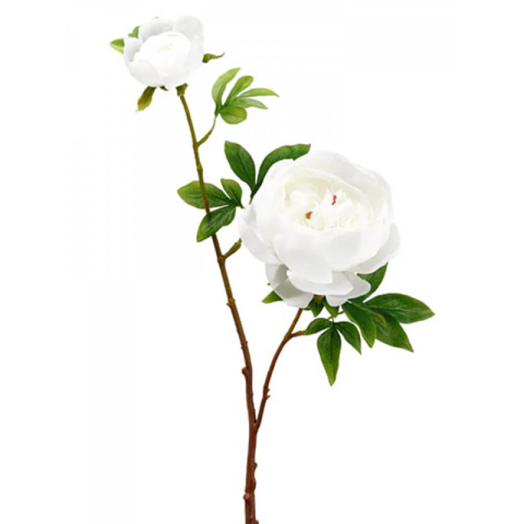 PEONY SPRAY WITH BUD 27.5" WHITE